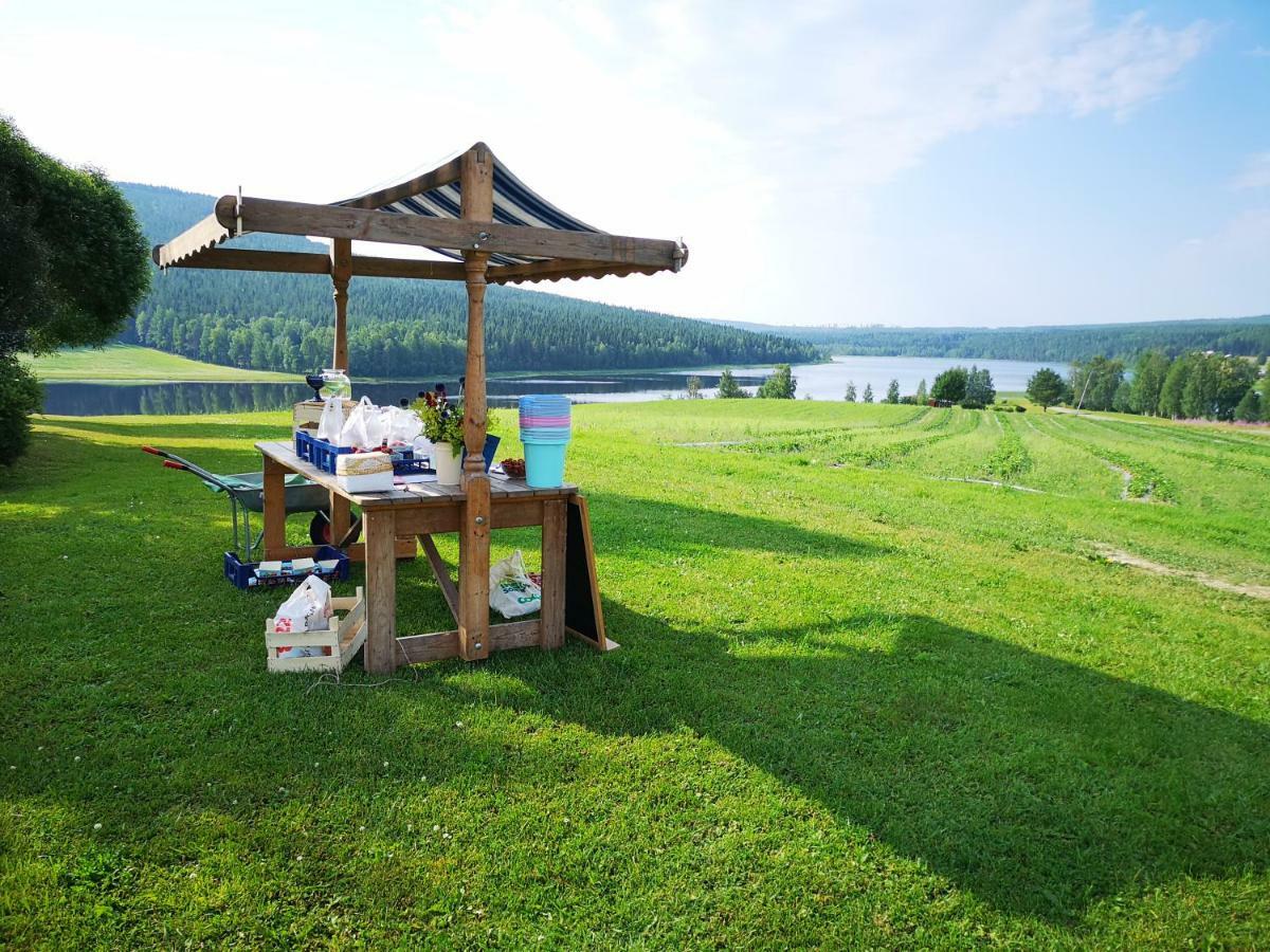 Skatauddens Lantgard Villa Älvsbyn Buitenkant foto