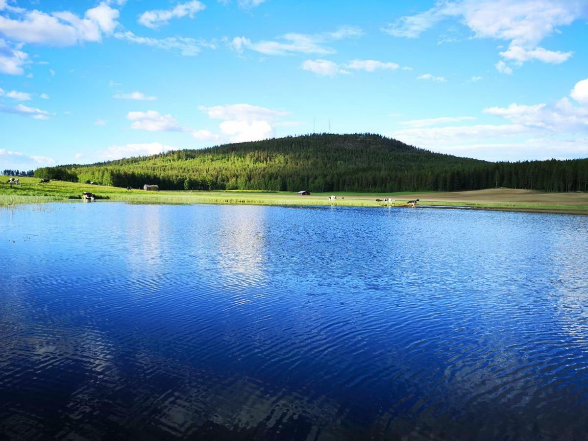 Skatauddens Lantgard Villa Älvsbyn Buitenkant foto