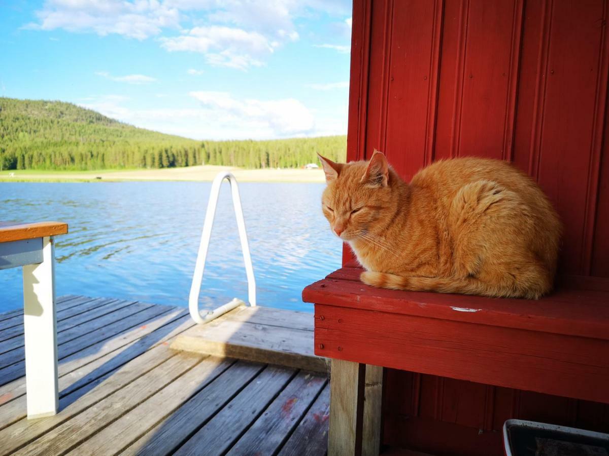 Skatauddens Lantgard Villa Älvsbyn Buitenkant foto